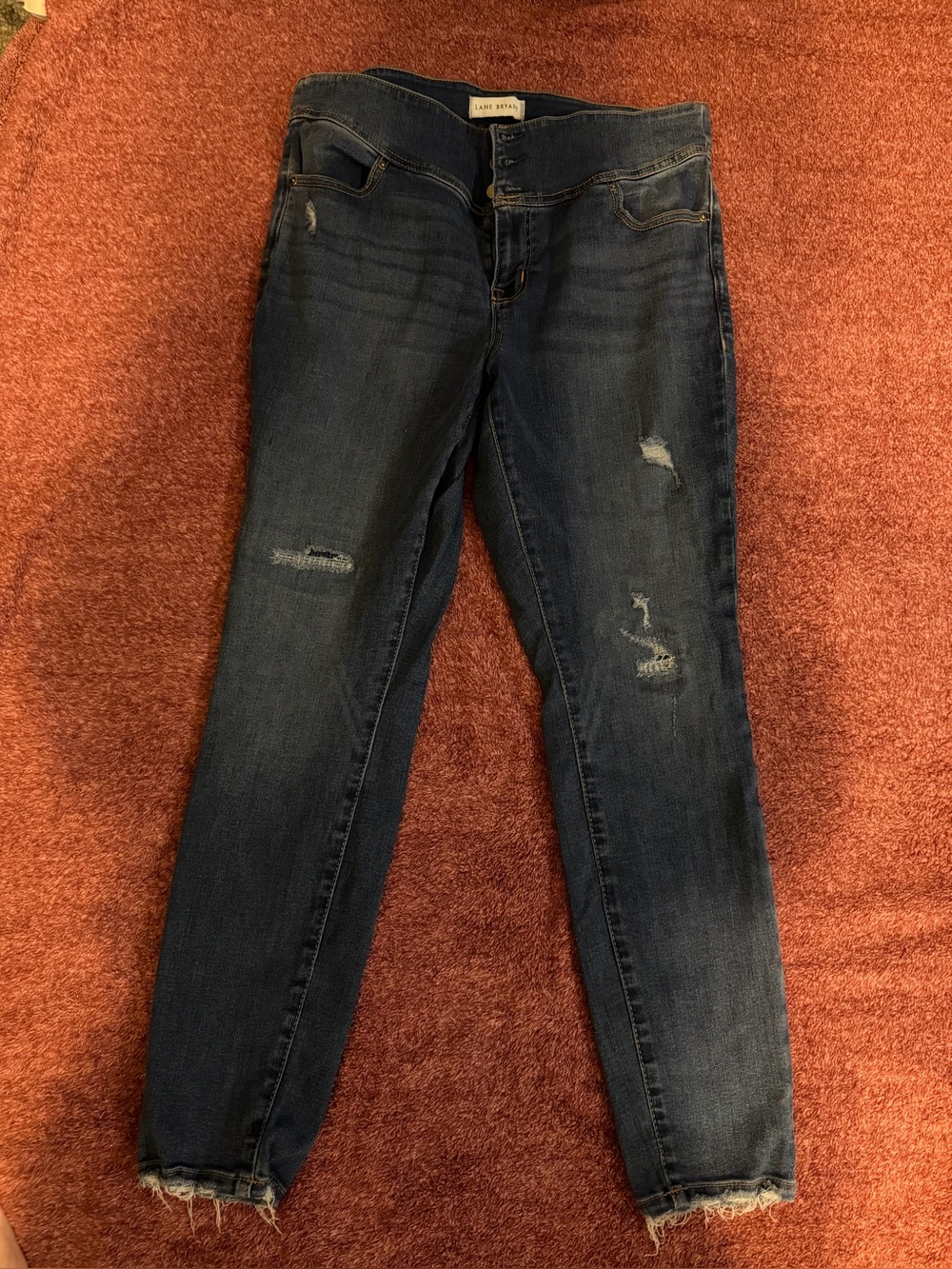Lane Bryant Dark Blue Distressed Skinny Jeans